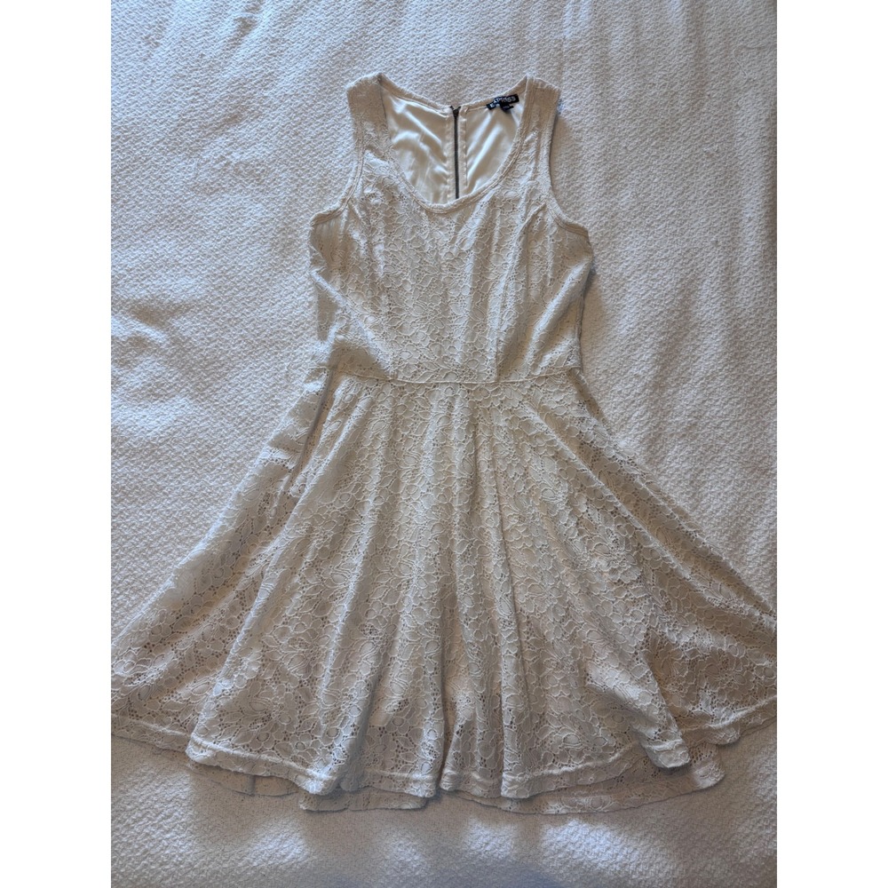 Express Cream Floral Lace Fit and Flare Skater Dress Sleeveless Ivory Medium